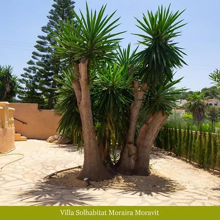 Solhabitat Moravit *