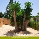 Solhabitat Moravit *